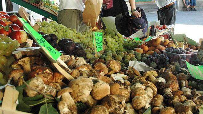 È corsa ai porcini ma vengono quasi tutti dall’Est