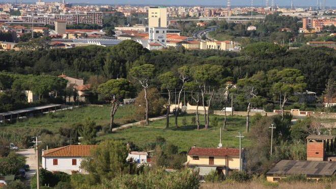 Il Prg del porto a vele spiegate Piano strutturale ko