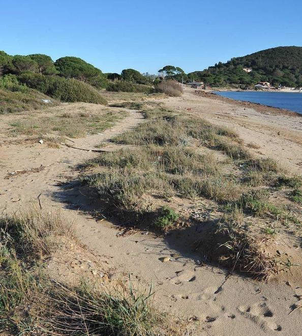 Arriva il finanziamento per le dune di Lacona 