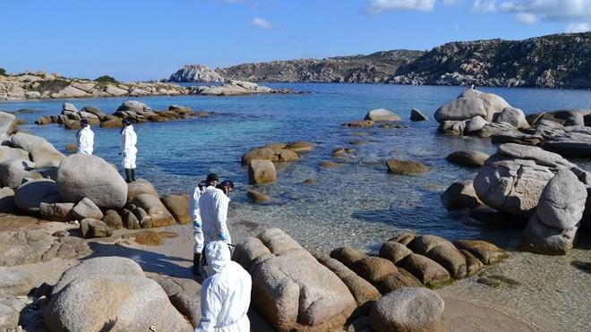 Marea nera nel golfo dell’Asinara, ambientalisti parte civile