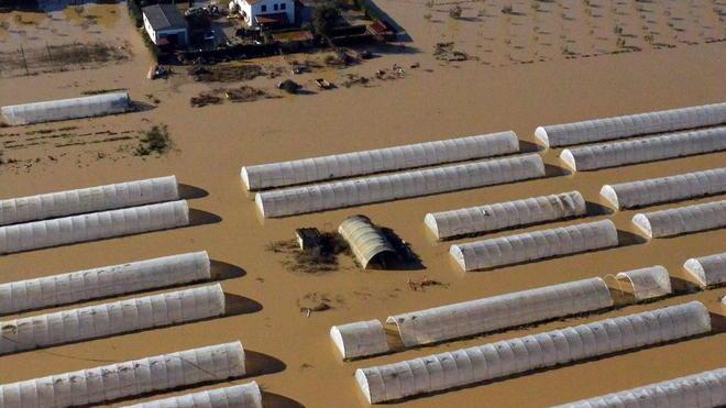Alluvione, la rabbia delle imprese