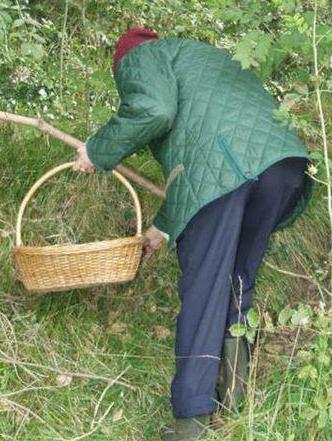 Si perde nel bosco, notte di ricerche 