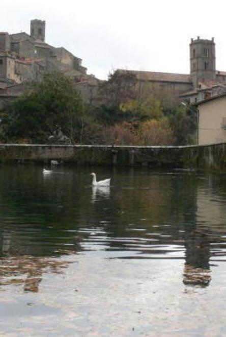 Fulmine nella peschiera, addio a preziosa fauna ittica