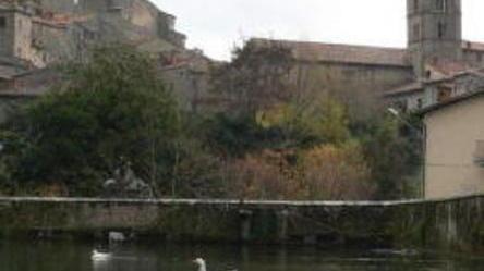 Fulmine nella peschiera, addio a preziosa fauna ittica