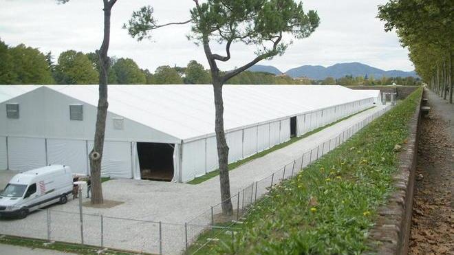 Risparmi possibili con gli stand in piazzale Baroni o al polo fiere