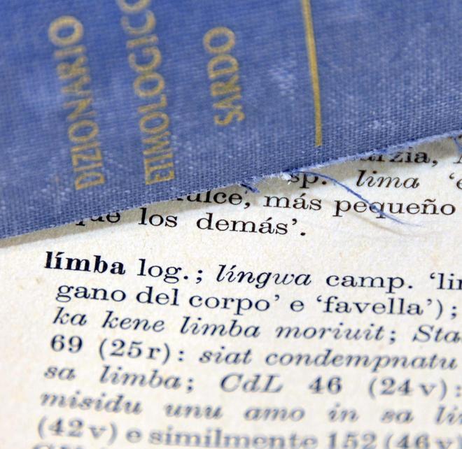 Bilinguismo a scuola con lezioni anche per i genitori