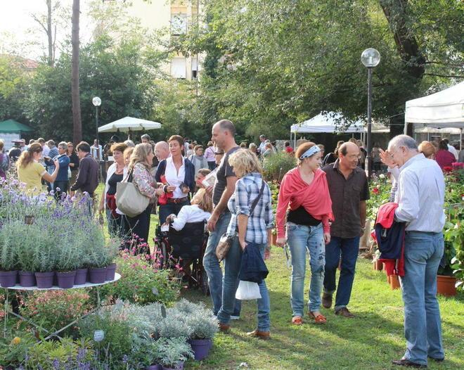 Ad Harborea si riuniscono gli amanti del giardinaggio