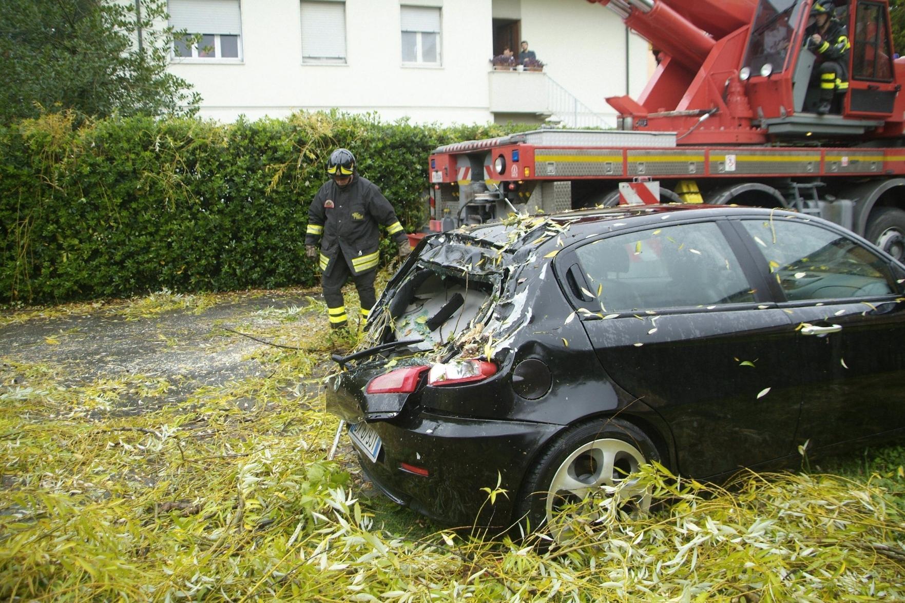 Albero si abbatte sulle auto, bloccata via della Formica 