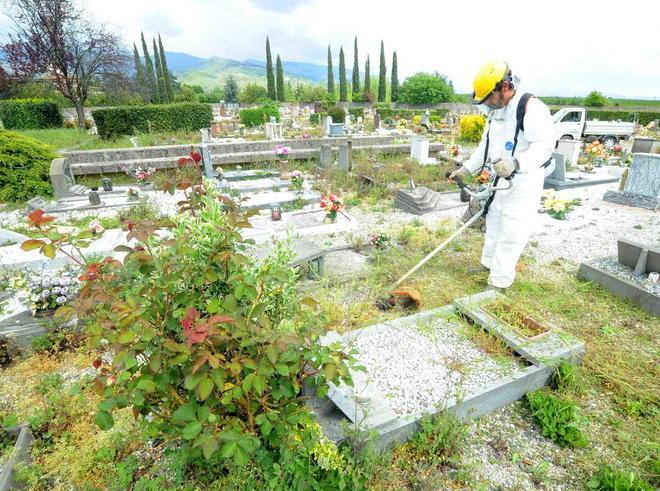 «Siamo pronti a perseguire i dipendenti disonesti»