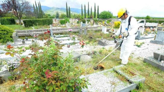 «Siamo pronti a perseguire i dipendenti disonesti»