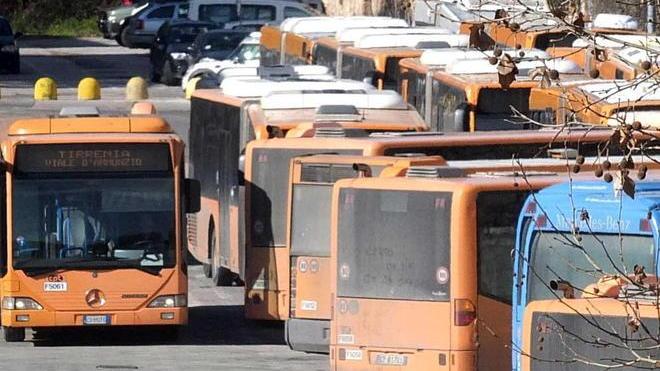 Bus, tornano le corse festive con i soldi della Regione