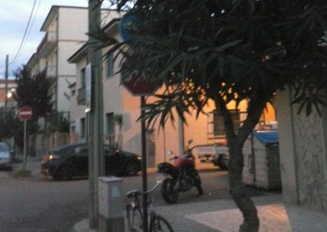 Incroci stradali pericolosi a causa degli alberi non potati