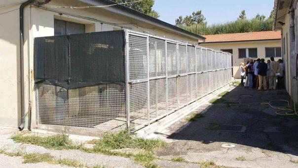 Un posto al canile? 3.500 euro l’anno