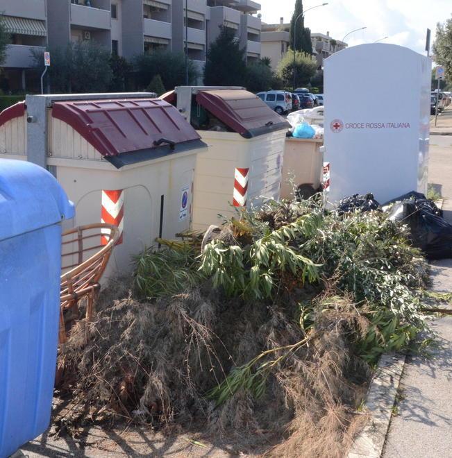 «Zona cassonetti trascurata»