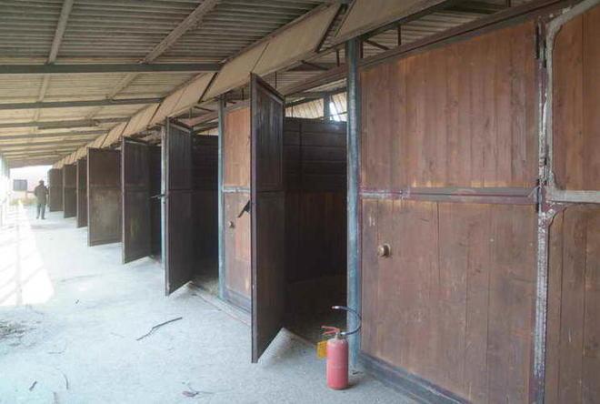 Il Comune vende il Club ippico 