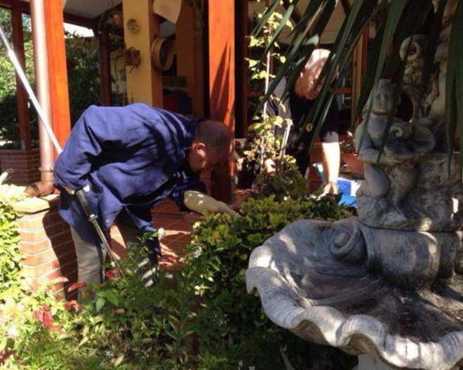 Montenero, trovano un serpente lungo un metro nel giardino di casa 
