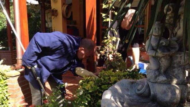 Montenero, trovano un serpente lungo un metro nel giardino di casa