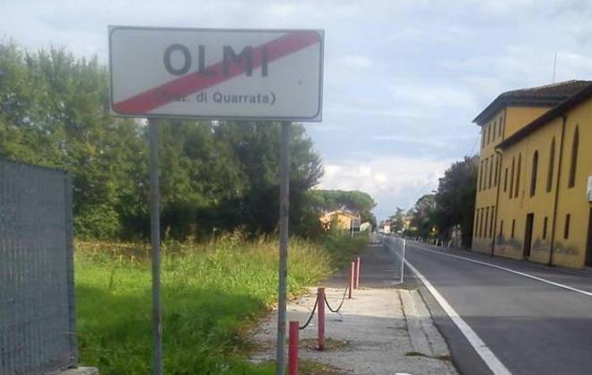 Olmi, erbacce e piante soffocano i fossi minori 