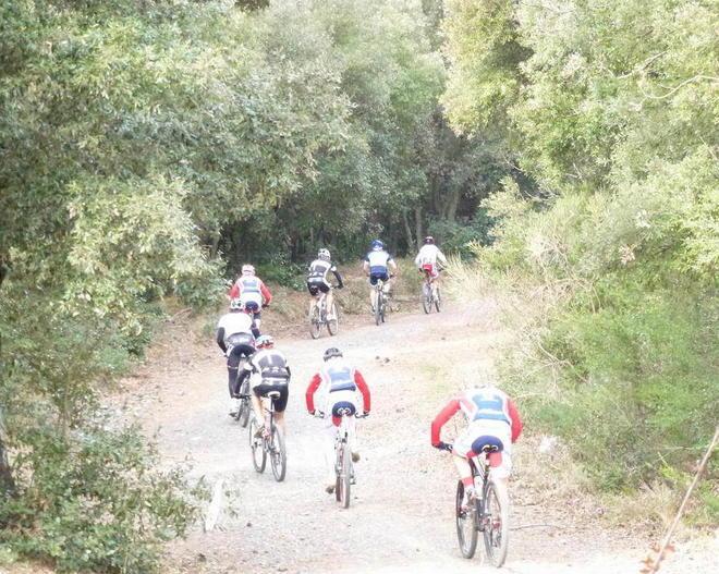 In mountain bike cade e sbatte la testa 