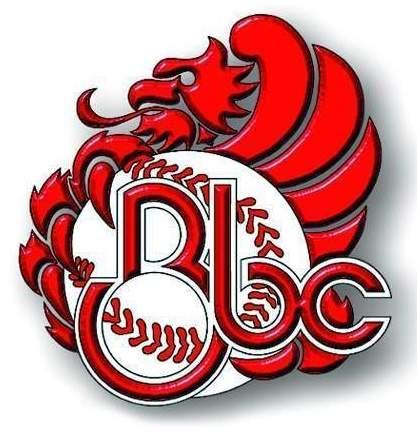 Borghi: «Sono pronto a scendere in campo per questo baseball» 