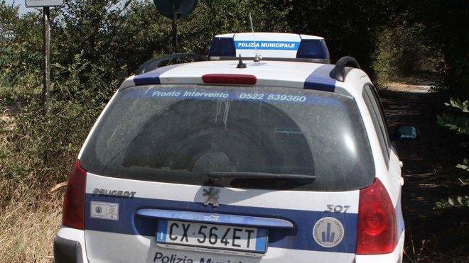 Piromane devasta il parco