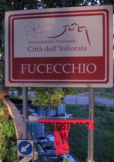 “Città dell’Infiorata” si prende la bocciatura meglio il Palio e Indro 