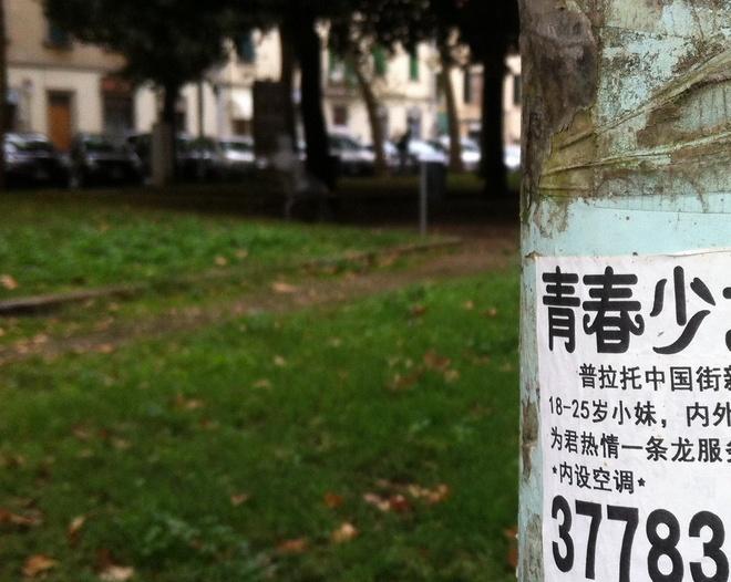 In piazza Ciardi a Prato “alberi a luci rosse”: le lucciole cinesi si fanno pubblicità 