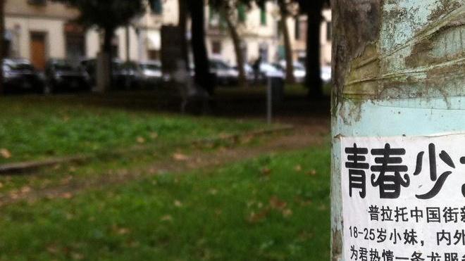 In piazza Ciardi a Prato “alberi a luci rosse”: le lucciole cinesi si fanno pubblicità