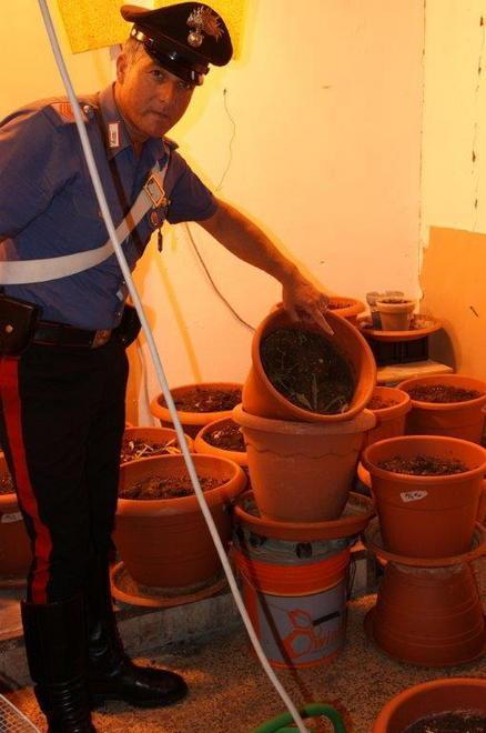 Coltivavano marijuana in casa, arrestati due giovani 