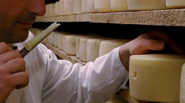 Alimentare: nasce pecorino toscano Dop senza colesterolo