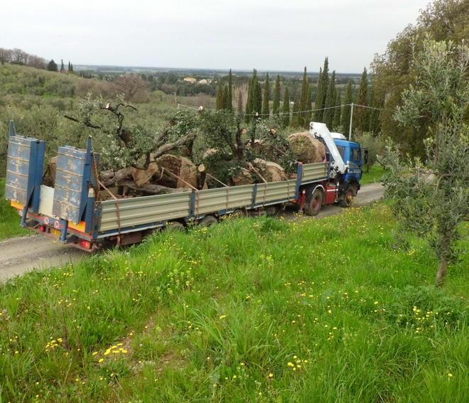 Nuovi limiti di velocità per le strade vicinali 