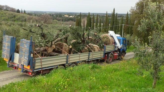 Nuovi limiti di velocità per le strade vicinali