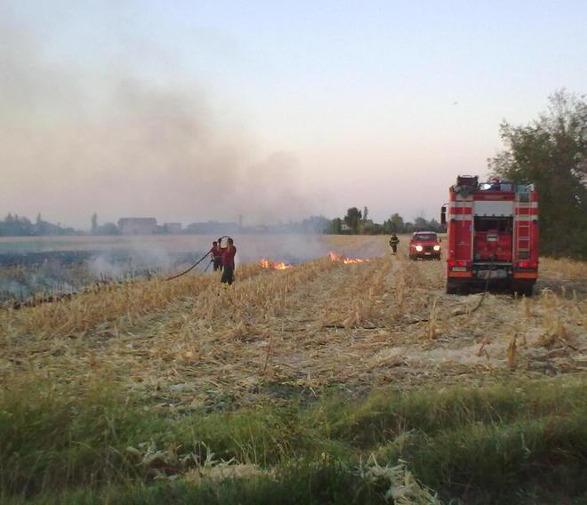 «Nessuno pensi di speculare» 