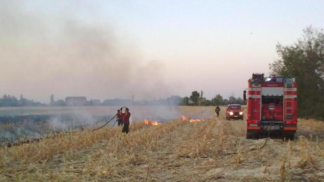 «Nessuno pensi di speculare»