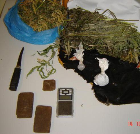 Coltiva marijuana in casa In manette un ventitreenne