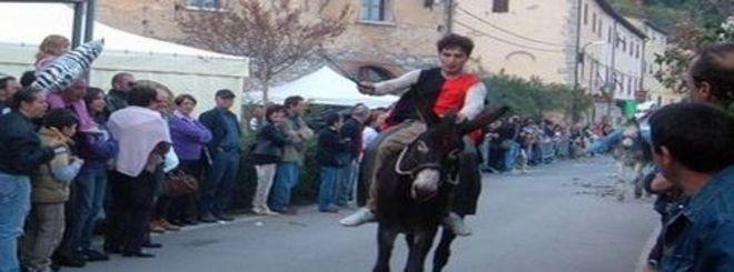 Domenica c’è il Palio dei ciuchi