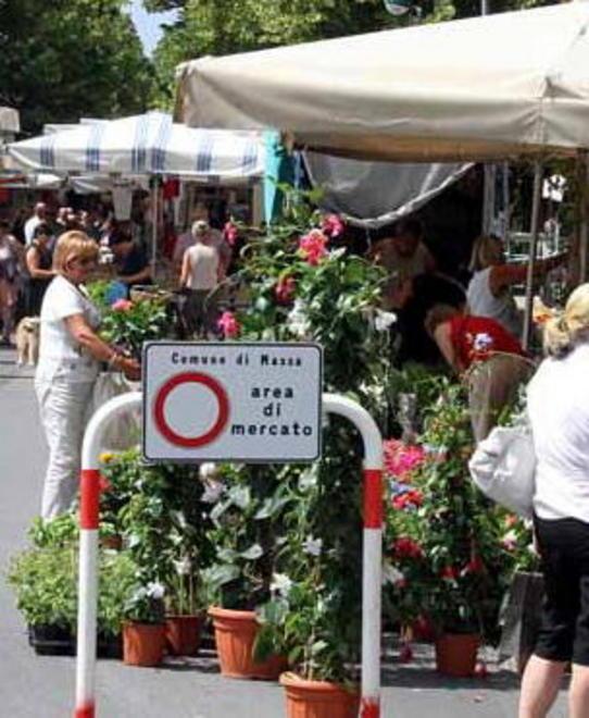 Inizio 2014, il mercato torna a “casa” 