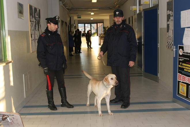 Carabinieri con i cani anti droga nelle scuole 