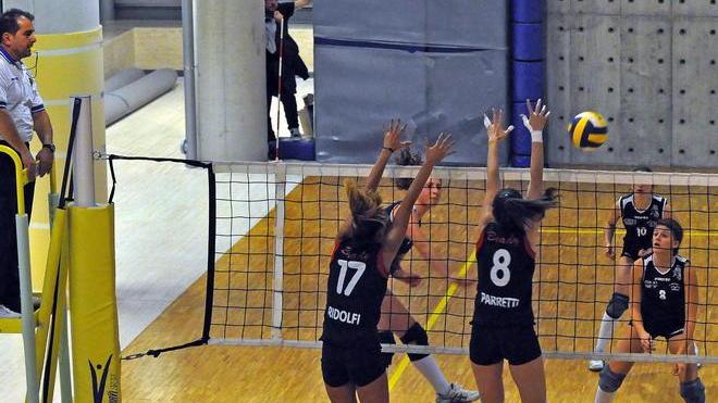 Pallavolo, iniziano i campionati per i team pratesi