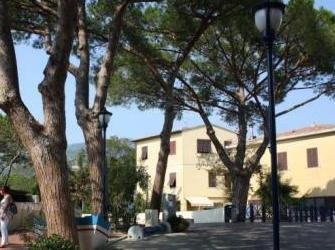 Mille firme per salvare i pini di Marina di Campo 