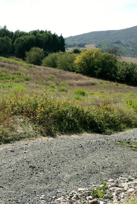 Trattori e cavalli contro la cava sui colli