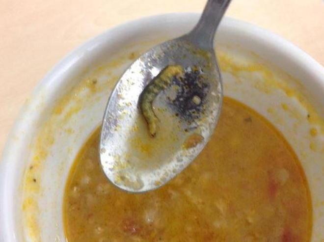 Trova un verme nella zuppa in ospedale 