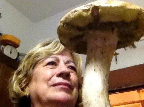 Una app aiuta a ritrovare dove si sono colti i funghi