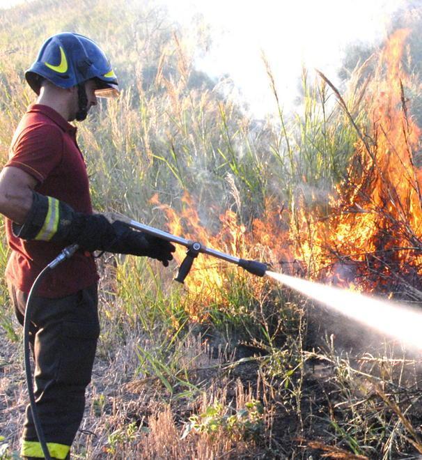 Dà fuoco al nido di gazze e causa un incendio
