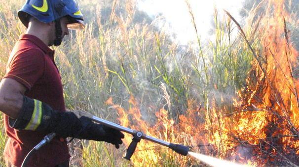 Dà fuoco al nido di gazze e causa un incendio