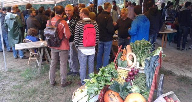 Nei vigneti la biodinamica fa boom 