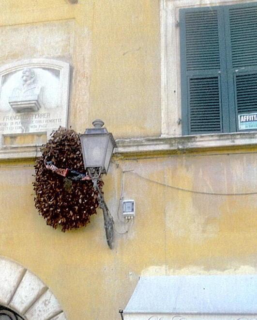 Che brutte in piazza quelle corone rinsecchite