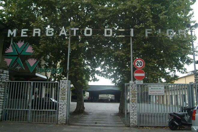 I ladri portano via duemila crisantemi 