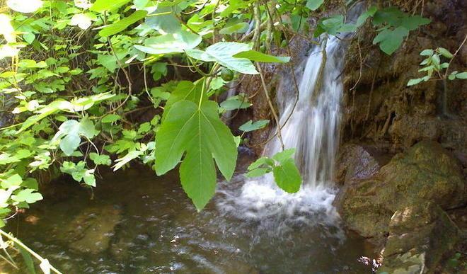 A Cutigliano l’acqua della salute 