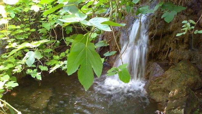 A Cutigliano l’acqua della salute